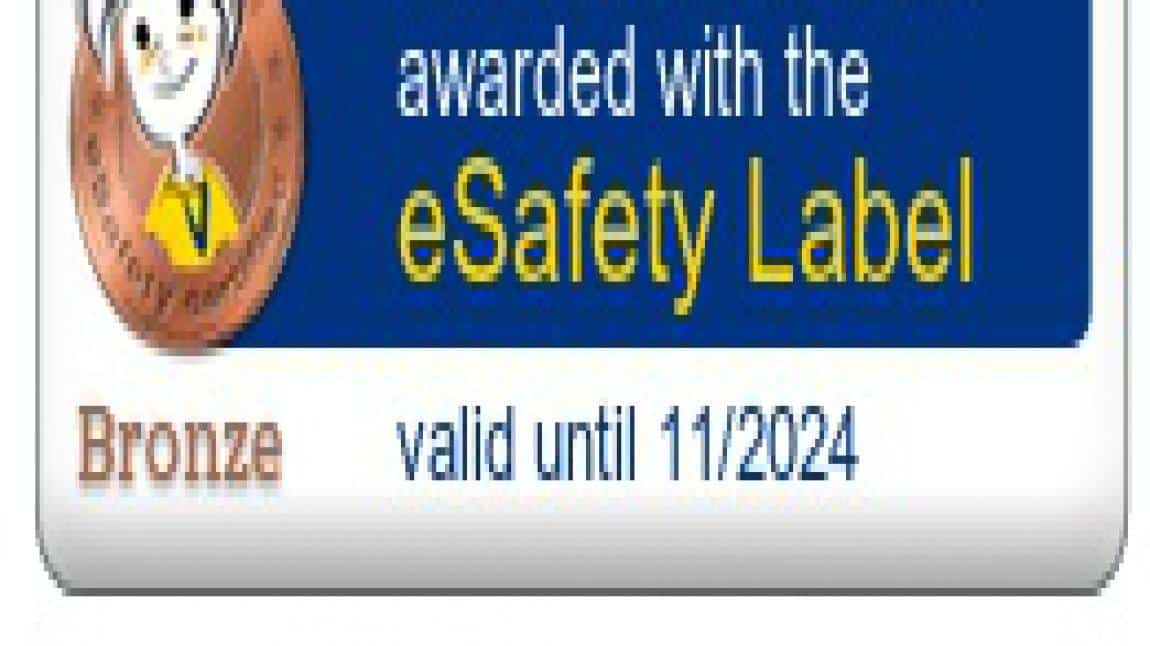 e-Safety Bronze Label